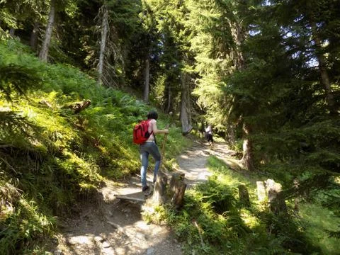 Mountain trail Stock Photos