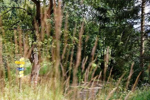 Mountain trail Stock Photos