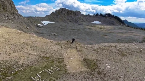 Mountain trail running man training Stock-Footage 75944649