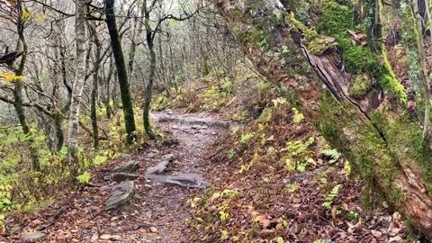 Mountain Trail Static Stock Footage 219287344
