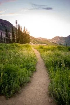 Mountain Trail Sunset Stock-Fotos