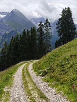 Mountain Trail Through Alpine Forest Meadow 스톡 사진
