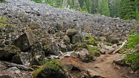 Mountain Trail Through a Talus Field on the Spray Park Trail in Mount Rainier Na Stock Footage 332081345