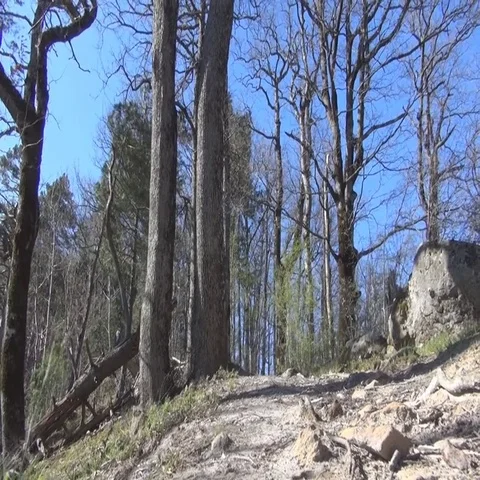 Mountain Trail to the top Stock-Footage 69712779