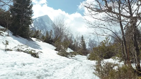 Mountain trail in the valley with a view of the mountains Stock Footage 109389295
