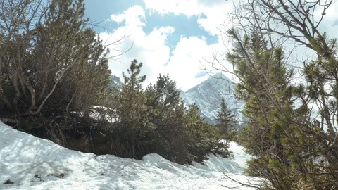 Mountain trail in the valley with a view of the mountains Stock Footage 109389310