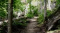 mountain trail waterfall background HD 동영상