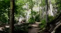 mountain trail with waterfall background Vídeos en HD