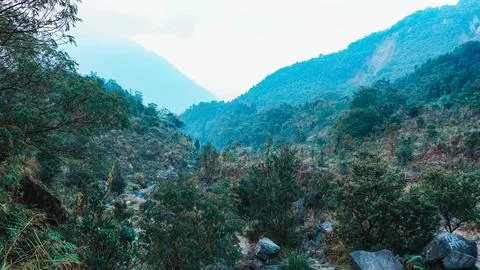 Mountain trail winding through dense forest, leading to misty peaks in the .. Stock Photos