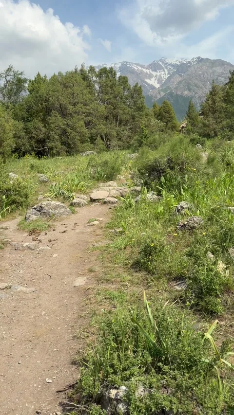 Mountain trail winds through greenery 動画素材 347964554