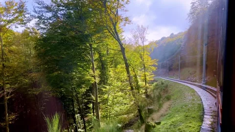 Mountain Train with Window View on the Autumn Forest with Sunlight Vídeos de archivo 265850286