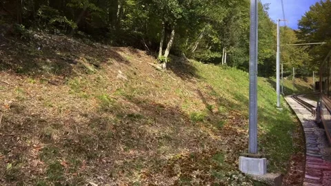 Mountain Train with Window View on Railroad Tracks in the Forest Stock Footage 270931450