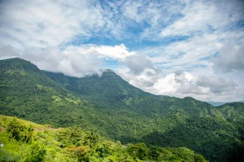Mountain with tree and cloud Stock Photos