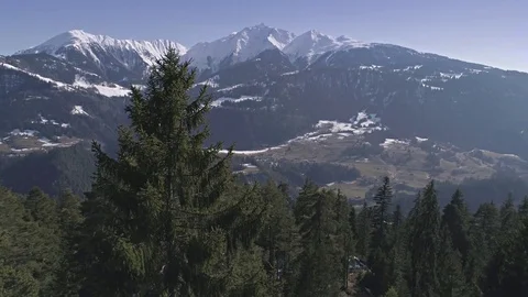 Mountain Tree Panorama View Aerial 4k Stock Footage 77464318