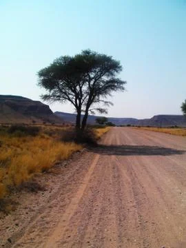Mountain Tree Road Stock Photos