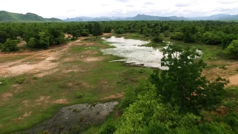 Mountain tree small pond drone shoot Видео 91281965