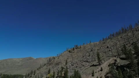 Mountain Treeline 스톡 동영상 249970101