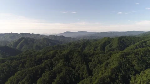 Mountain with trees and blue sky 스톡 동영상 303391836