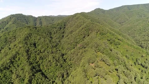 Mountain with trees and blue sky 스톡 동영상 303391837