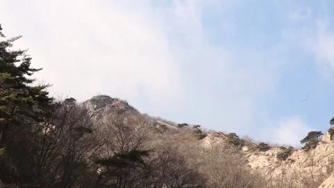 Mountain with trees and blue sky 스톡 동영상 303391839