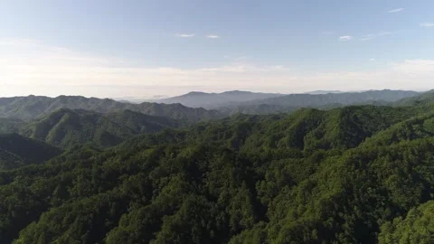 Mountain with trees and blue sky Video stock 303391868