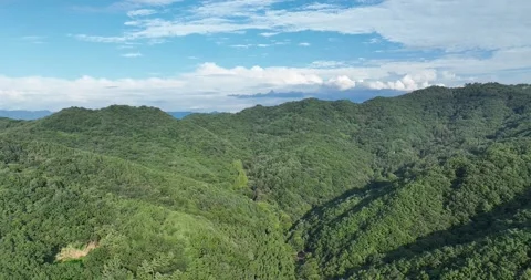 Mountain with trees and blue sky Video stock 303550908