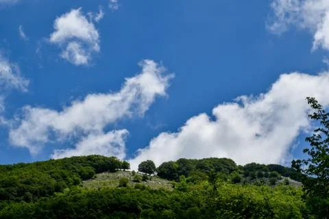 Mountain, trees and clouds Stock Photos