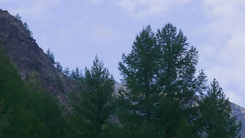Mountain, trees and sky Stock Footage 171731259