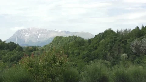 Mountain with trees and wind Stock Footage 130373460