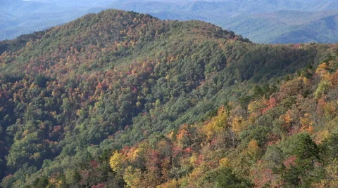 Mountain trees in the fall from blue ridge parkway, nc Stock-Footage 44350317