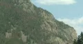 Mountain & Trees HD Footage