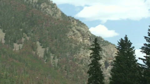 Mountain &amp; Trees Video stock 138543