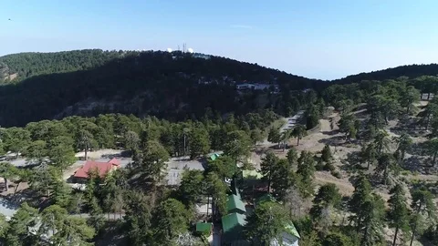 Mountain trees Stock Footage 78561082