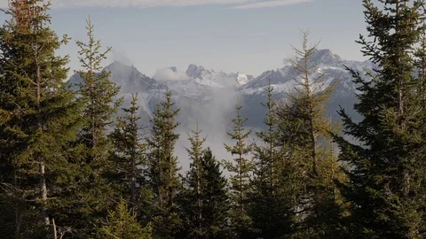 Mountain trees Stock Footage 122170872