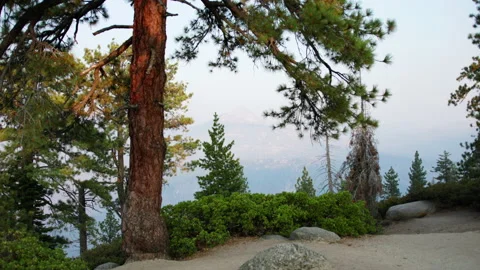 Mountain trees Stock Footage 138323979