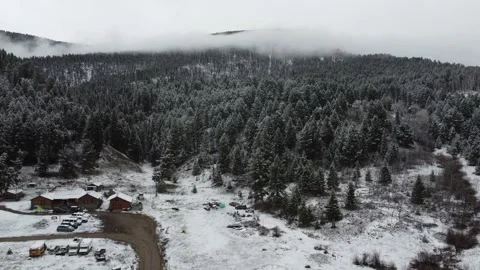 Mountain Trees Stock Footage 170395341