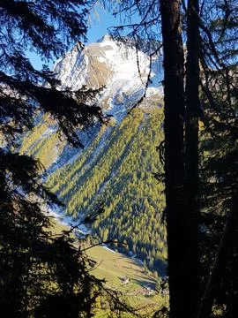 Mountain with trees in the foreground Stock-Fotos