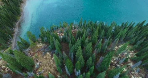 Mountain Trees Lake Pan up | 4K Drone Stock Footage 81992462