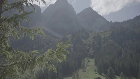 Mountain, trees, lake view, Gosausee, Austria slog3 Stock Footage 166649662