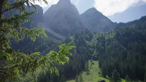Mountain, trees, lake view, Gosausee, Austria Stock Footage 166649687