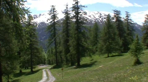 Mountain Trees Panorama 1 스톡 동영상 485124
