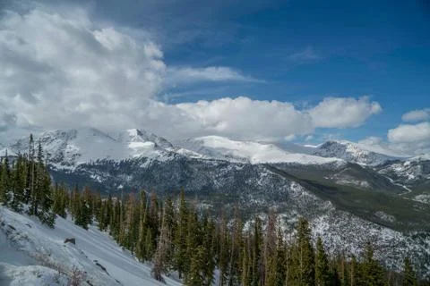 Mountain Trees Foto stock