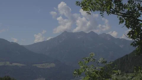 Mountain with trees Foto stock