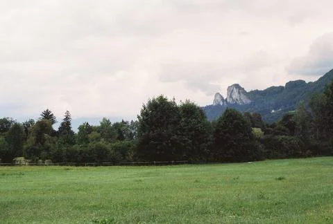 Mountain Trees Stock Photos