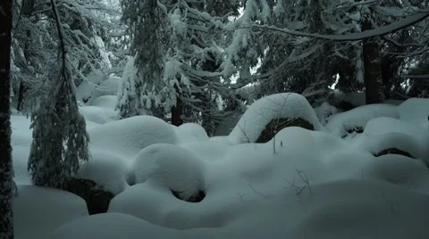 Mountain Trees Snowing Panning 4K Stock Footage 59773378