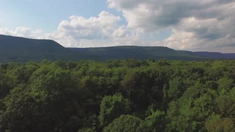 Mountain Treetops Stock Footage 231899253