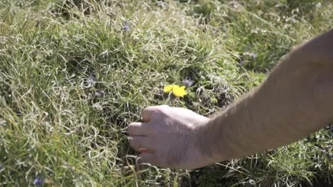 Mountain trek Vídeos de archivo 263312966