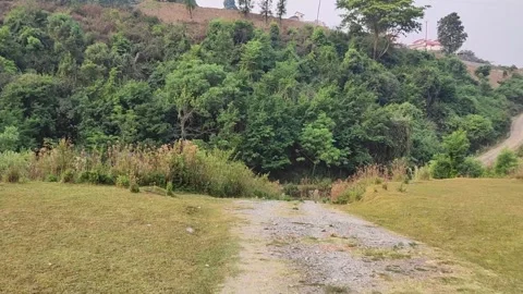 Mountain trekking Video stock 191290882