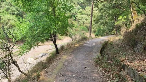 Mountain trekking Video stock 191293248