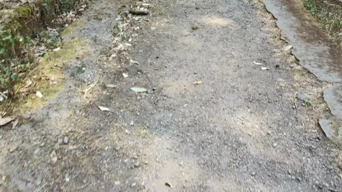 Mountain trekking Stock Footage 191293335